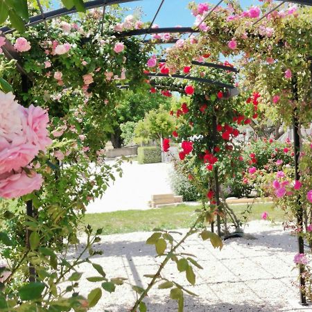 Gite En Provence Lavande Modene Екстериор снимка