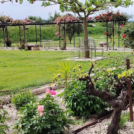 Gite En Provence Lavande Modene Екстериор снимка