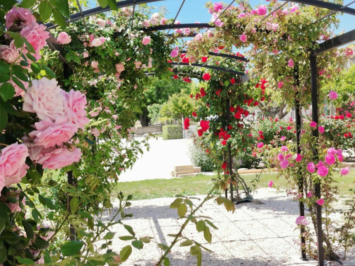 Gite En Provence Lavande Modene Екстериор снимка