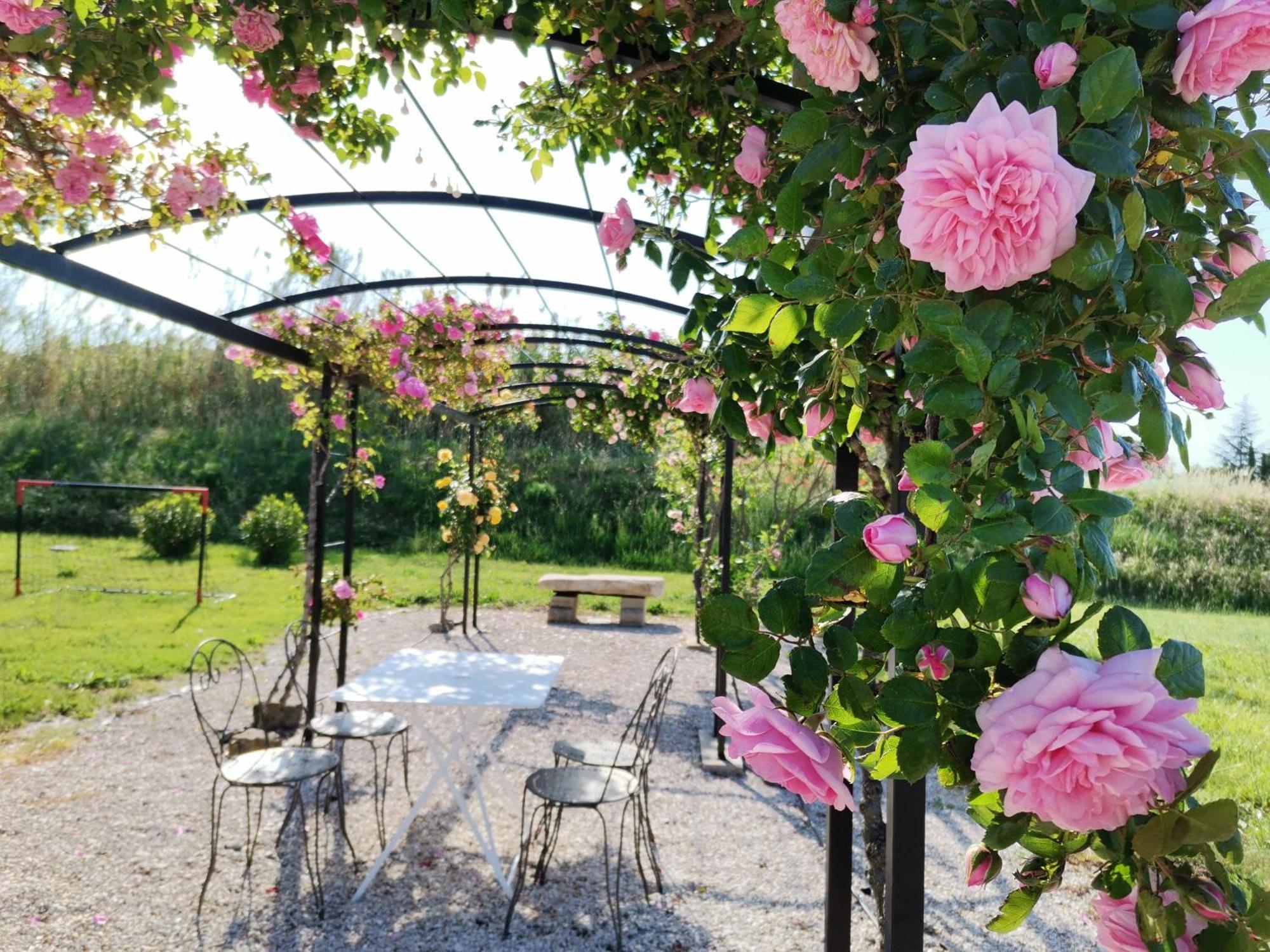Gite En Provence Lavande Modene Екстериор снимка