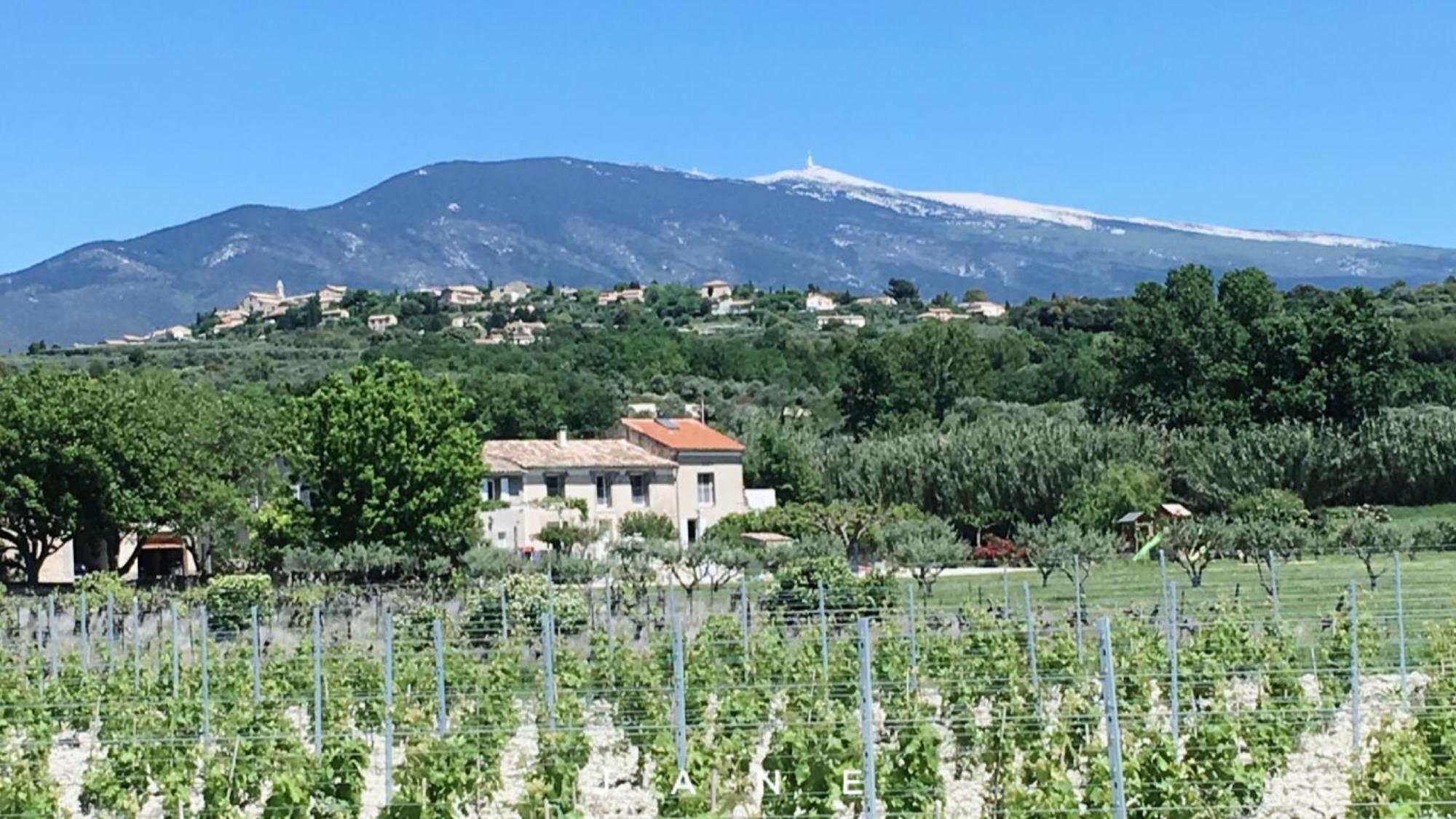 Gite En Provence Lavande Modene Екстериор снимка