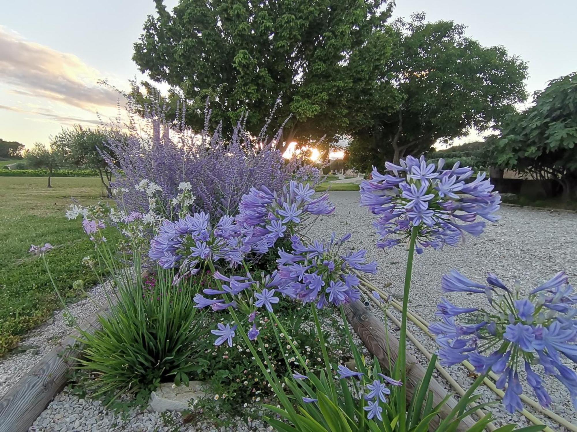 Gite En Provence Lavande Modene Екстериор снимка
