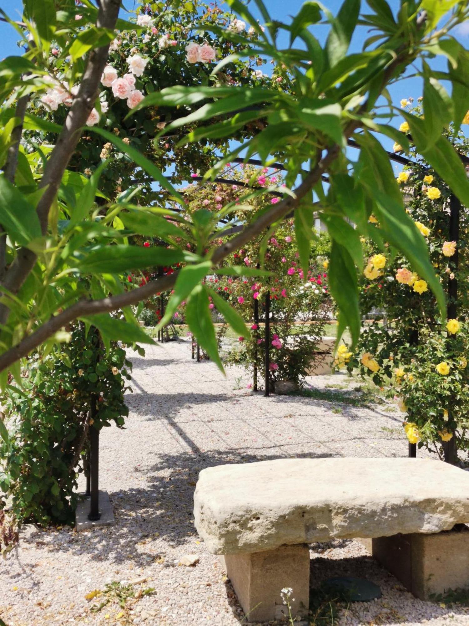 Gite En Provence Lavande Modene Екстериор снимка