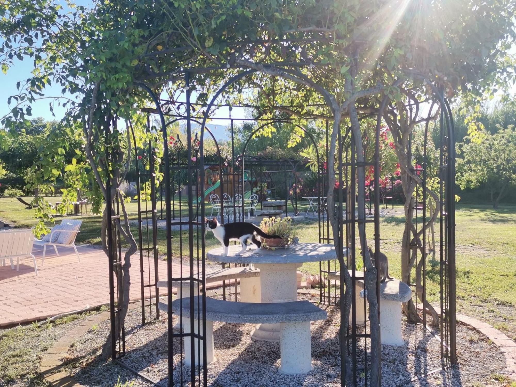 Gite En Provence Lavande Modene Екстериор снимка
